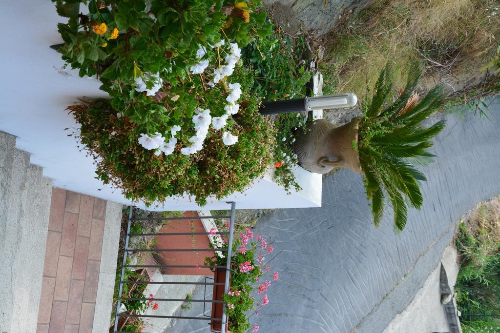 B&B La Casa Rossa เปาลา ภายนอก รูปภาพ